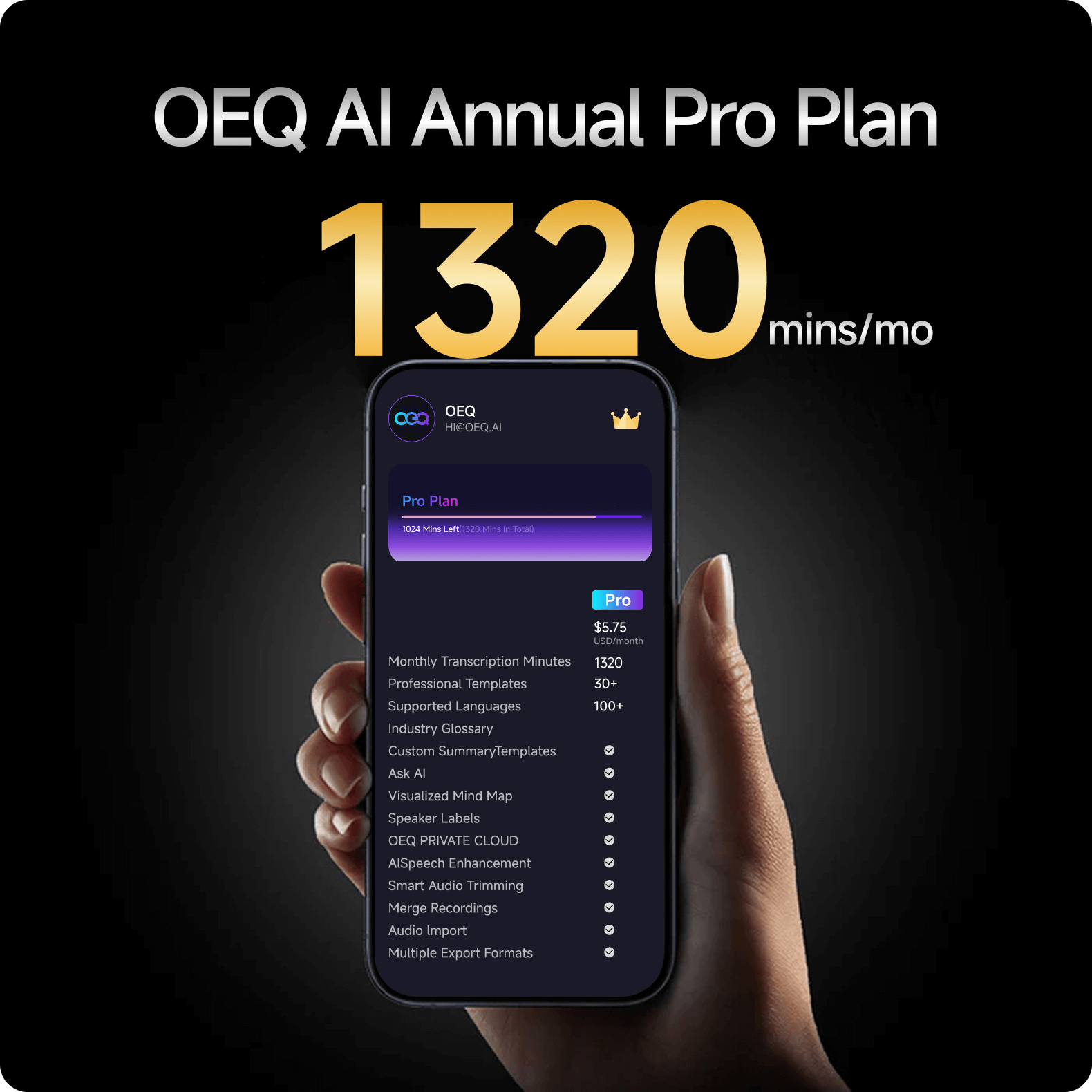 OEQ AI Annual Pro Plan